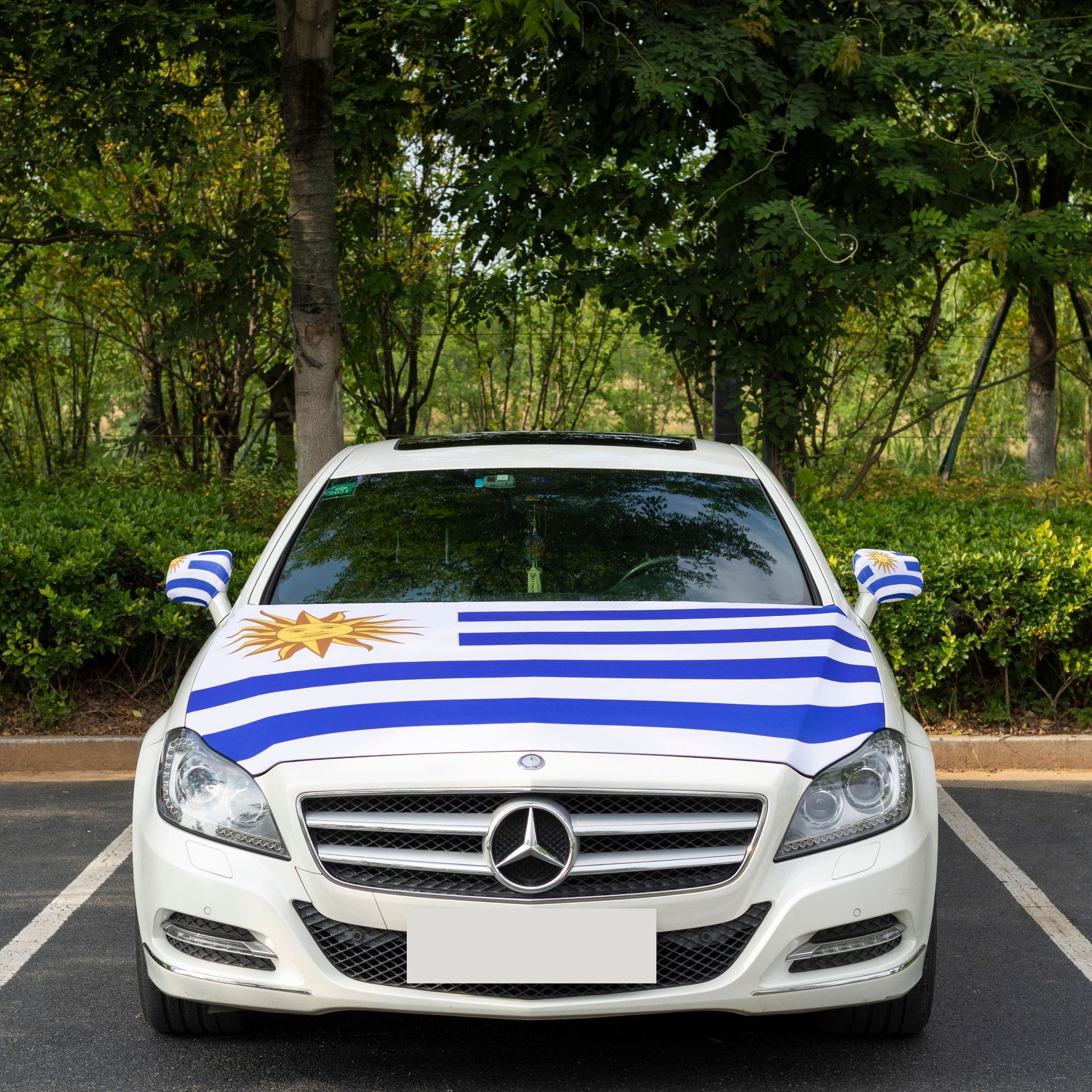 Car Hood Cover